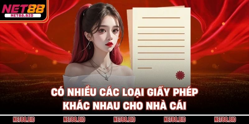 Giấy Phép Hoạt Động